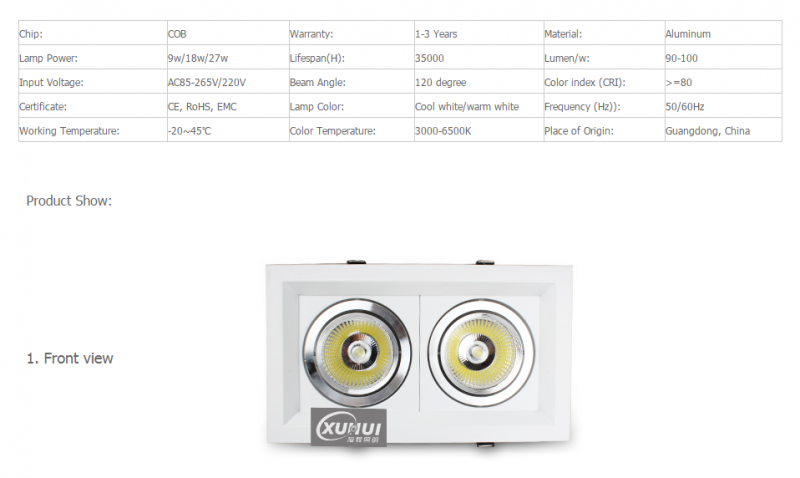 LED DownLighters