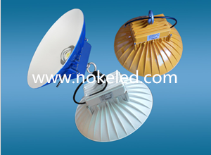 LED High bay IP67 30W-100W01