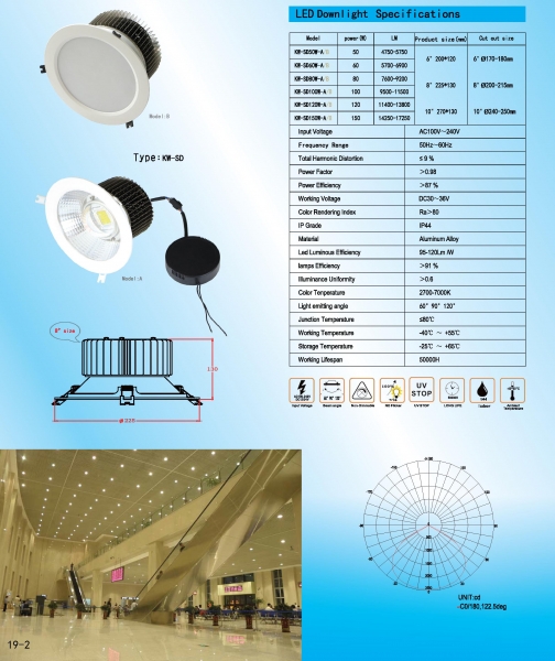 LED DownLighters