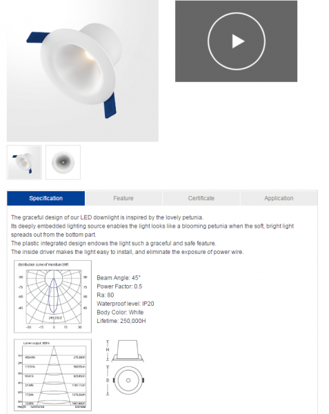 LED DownLighters