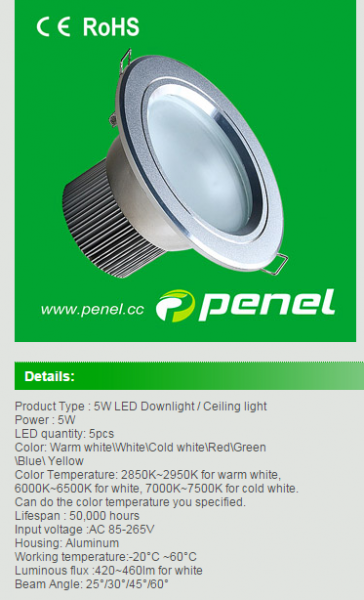 LED DownLighters