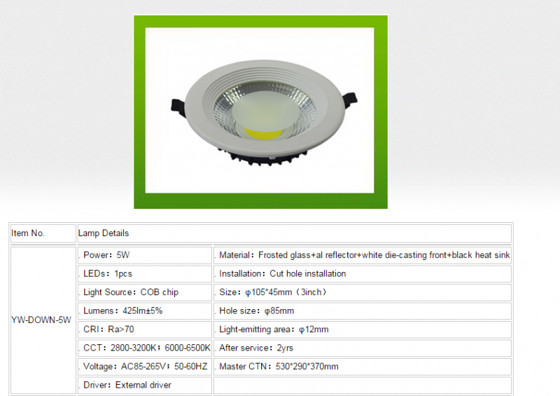 LED DownLighters