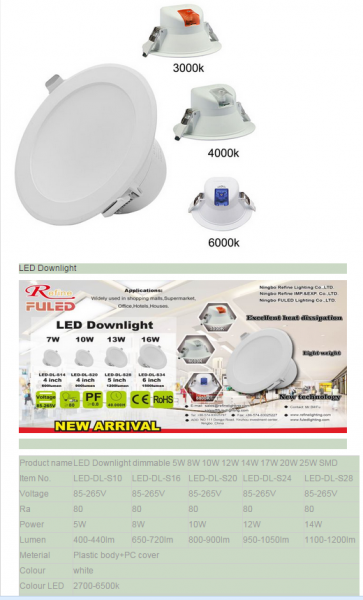 LED DownLighters