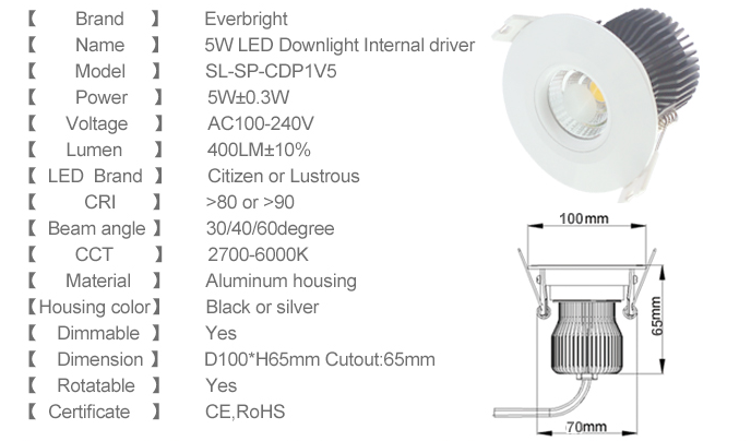 LED DownLighters