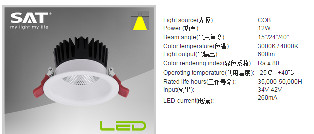 LED DownLighters