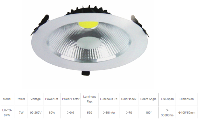 LED DownLighters