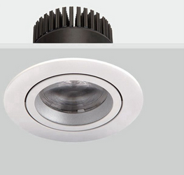 LED DownLighters