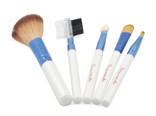 Cosmetic Brush Set