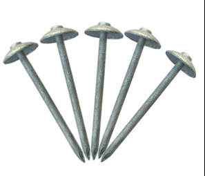 Roofing Nail