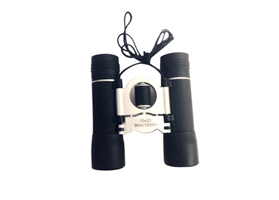 Binocular Telescope