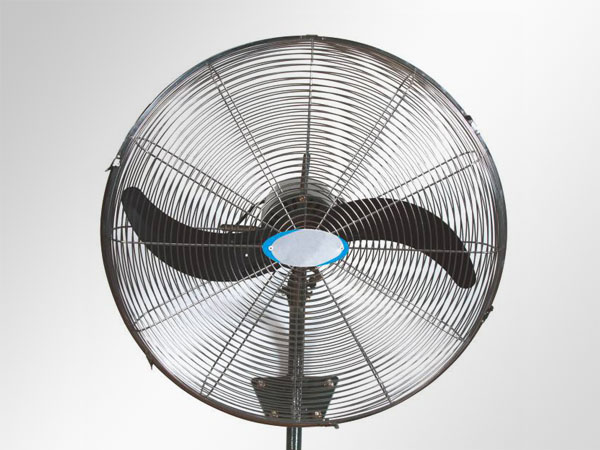 Fan