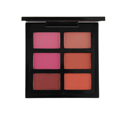 6 color blusher palette