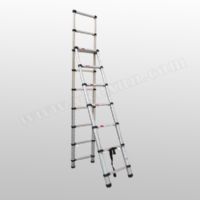 Telescopic Ladder (KX2752)