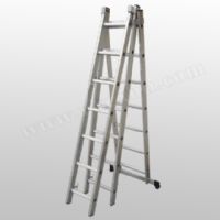 Extension Ladder (KX2807)