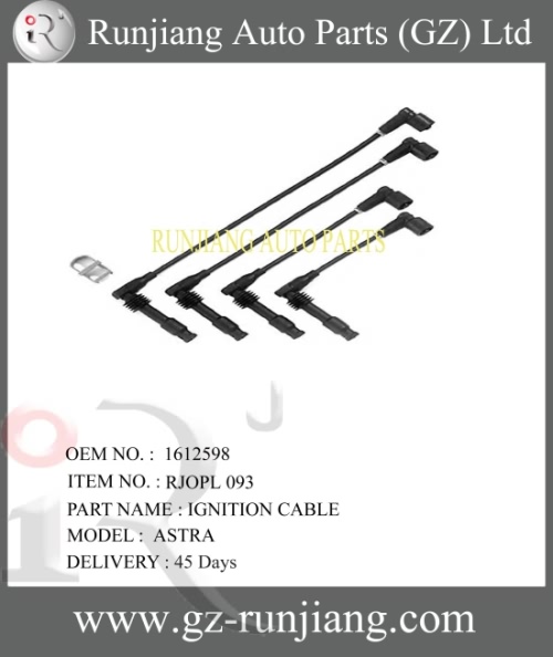 Ignition Cable