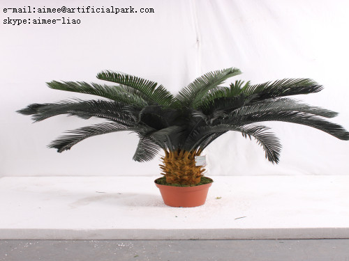 Artificial Sago Cycas