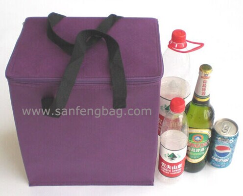 Cooler bag