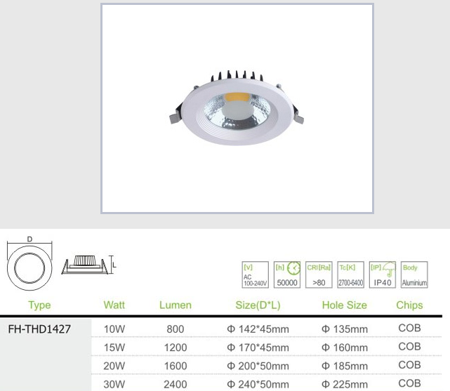 LED DownLighters