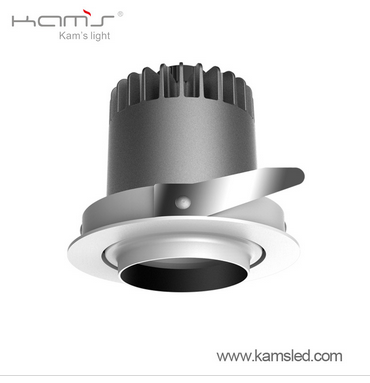 LED DownLighters