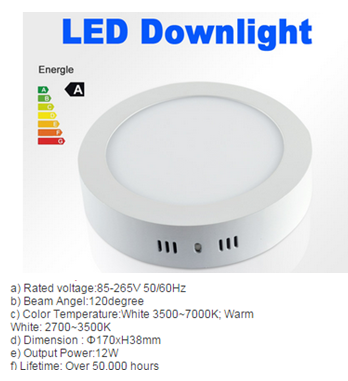 LED DownLighters